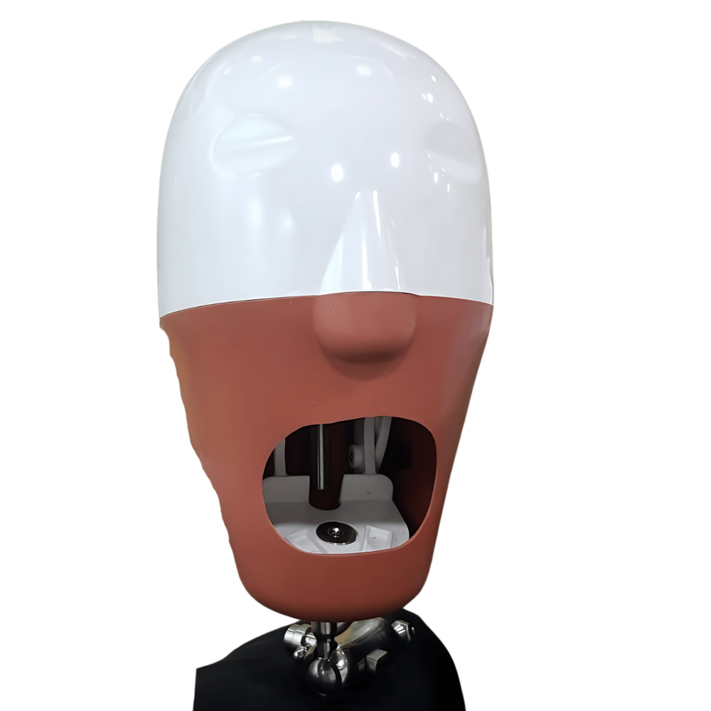 Manikin Head (Magnetic)